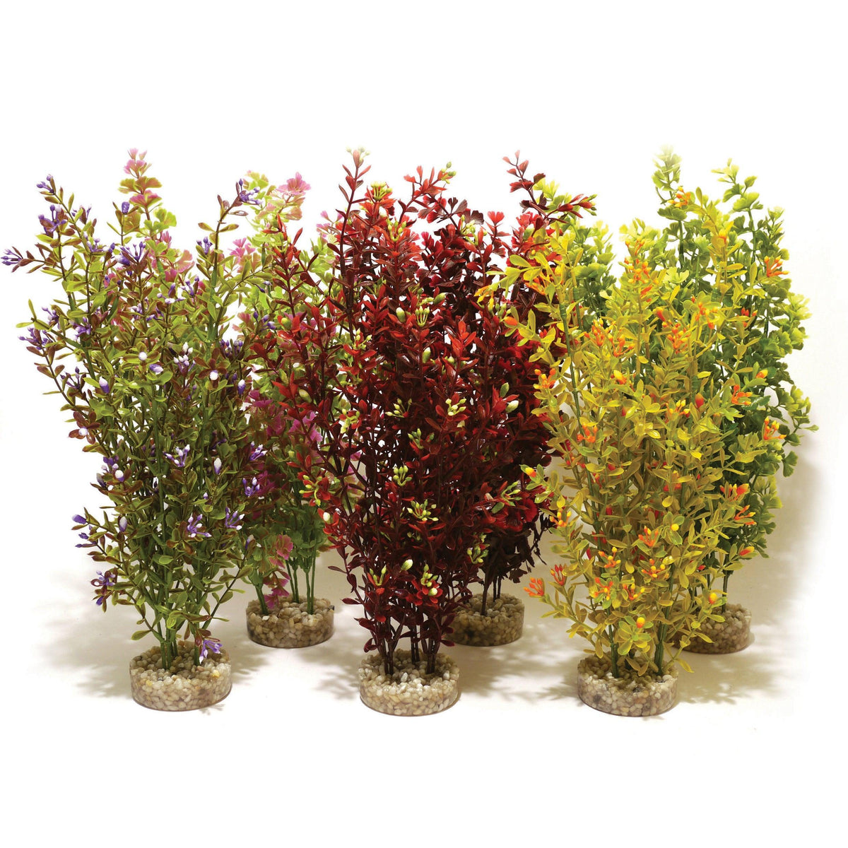 Rosewood Sydeco Cocktail Plant Maxi - Case of 6