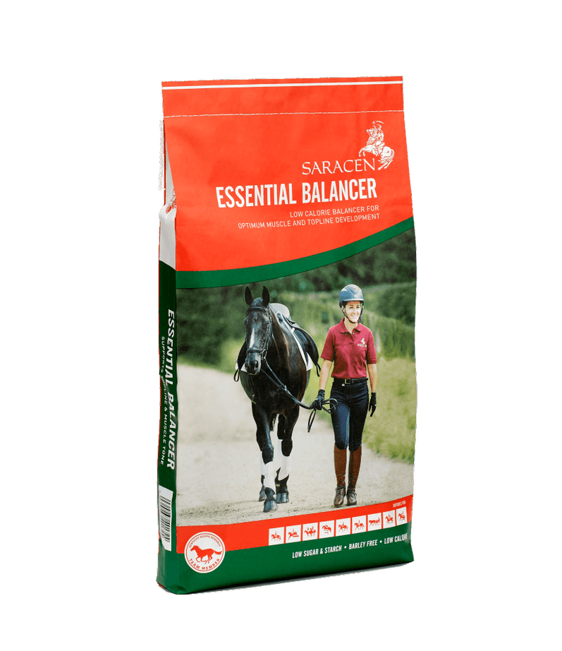 Saracen Essential Balancer 20kg