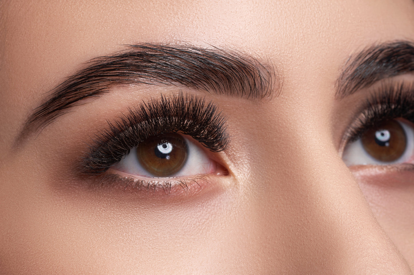 CEJAS ESCULPIDAS DEFINITIVAS