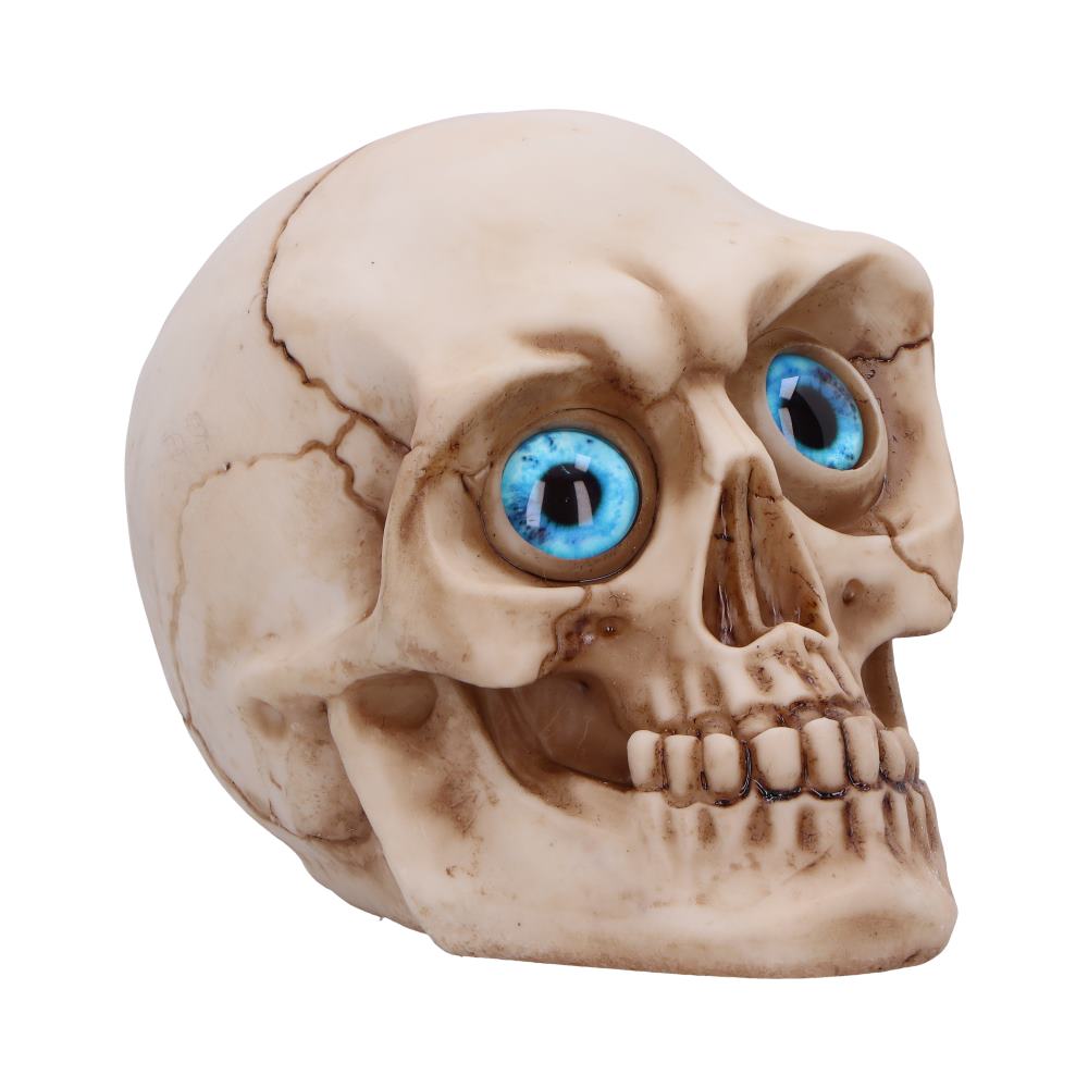 Eyes Wide Open (Blue) 12cm
