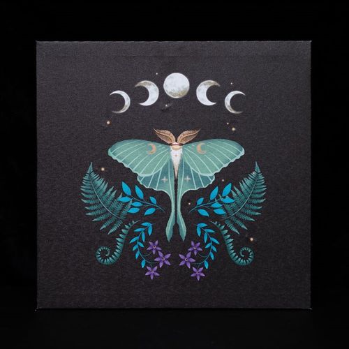 Luna Moth Light Up Canvas Plaque