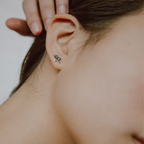 Sparkling Star Silver Stud Earrings