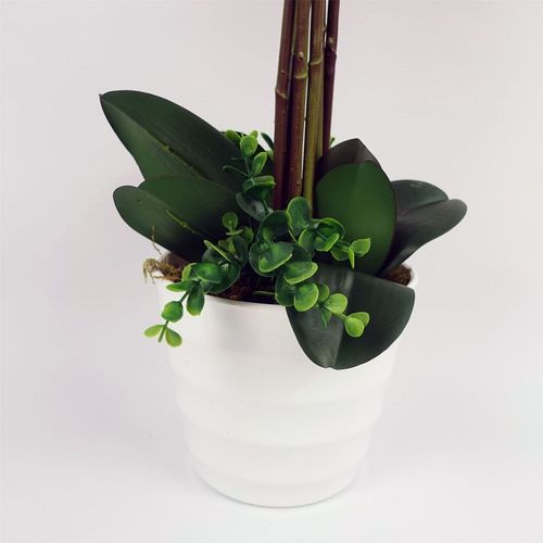 85cm Artificial Deluxe Bush Orchid Dark Pink