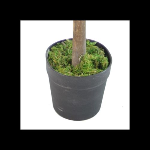 130cm Artificial Red & Green Ficus Tree