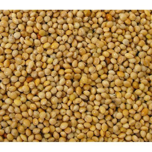 Versele Laga Milletseed Yellow 25kg
