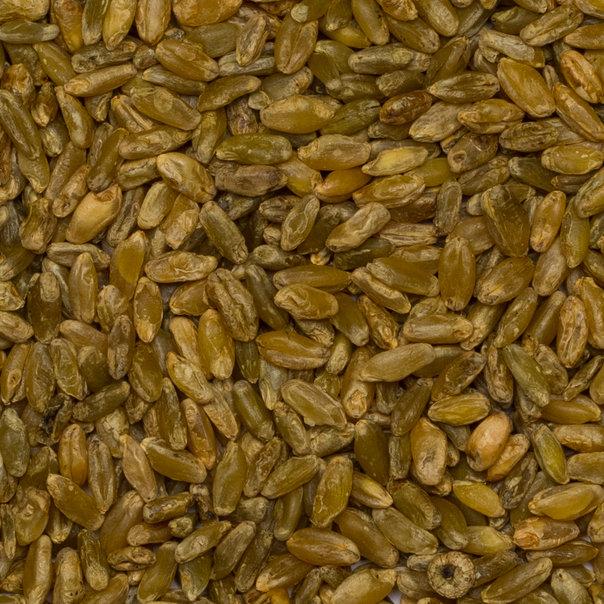 Trigo Candeal Tostado Troceado Freekeh